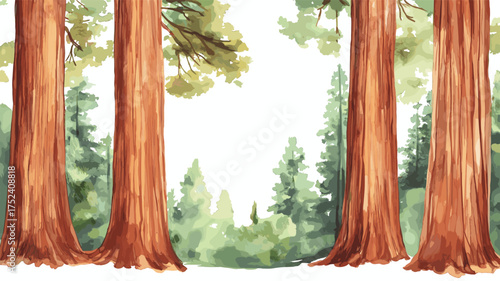Redwood National and State Parks. Redwood National and State Parks hand drawn watercolor illustration