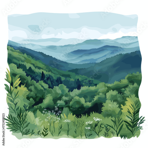 Shenandoah National Park. Shenandoah National Park hand drawn watercolor illustration