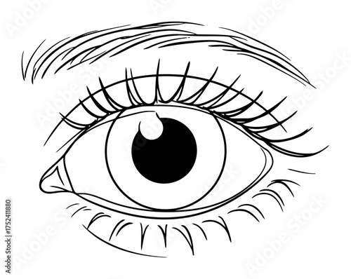 Minimalist Eye Drawing, Vector Design