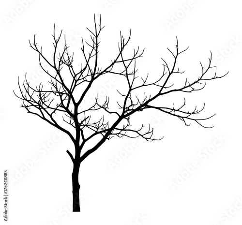 Bare Tree Branch Silhouette Vector - Minimalist Design