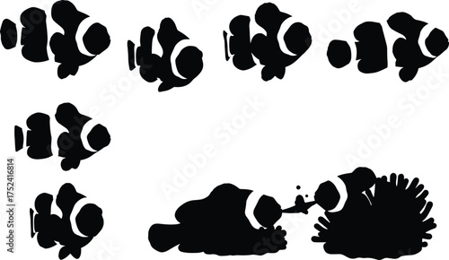 Clownfish silhouette collection, tropical fish vector, marine animal artwork, underwater sea creature design, ocean wildlife illustration, aquatic reef fish graphic set