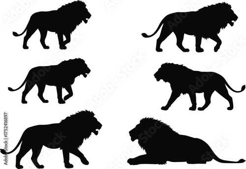 Lion silhouette collection, big cat vector illustration, wild animal artwork, black feline shapes, predator poses, zoology study, wildlife design, educational nature art