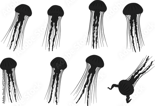 Jellyfish silhouette set, marine vector illustration, ocean wildlife artwork, black sea creature shapes, aquatic poses, biology study, zoology design, educational nature art