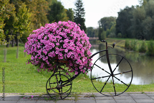 Vintage Bicycle Planter with Pink Flowers in City Park. Close up. Selective focus.