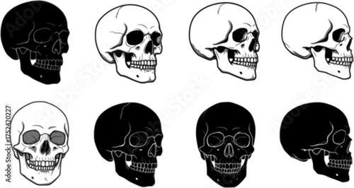 Set of human skull black silhouettes in various styles, front and side views, isolated on white background, graphic illustration. Concept of anatomy, gothic symbol, tattoo, halloween design elements 