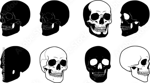 Set of human skull black silhouettes in various styles, front and side views, isolated on white background, graphic illustration. Concept of anatomy, gothic symbol, tattoo, halloween design elements 