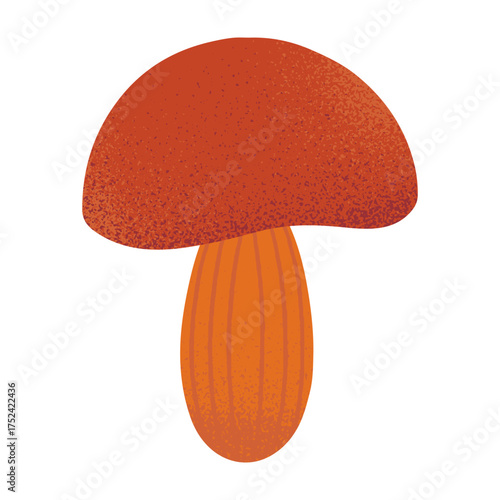 Mushroom vector isolated.Forest seasonal food.Hand drawn flat graphic illustration for prints,flyers,banners,covers,branding design,clipart.