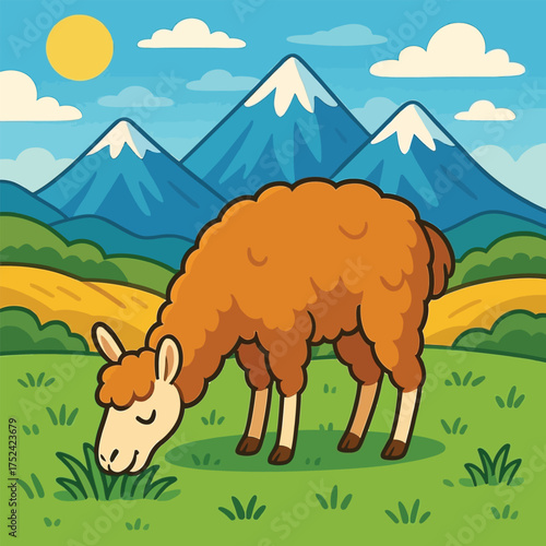 llama eating grass