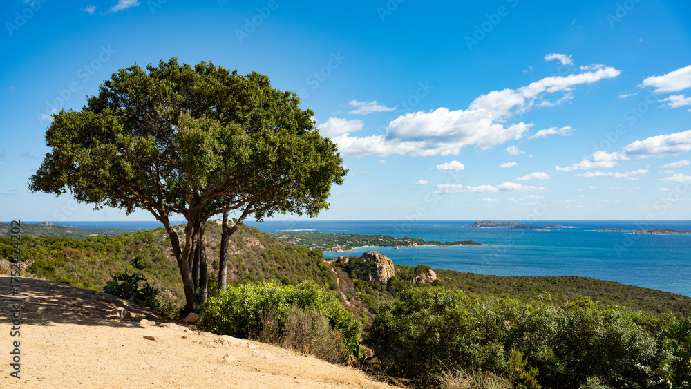 Fototapeta premium Sardinien (2025-10)