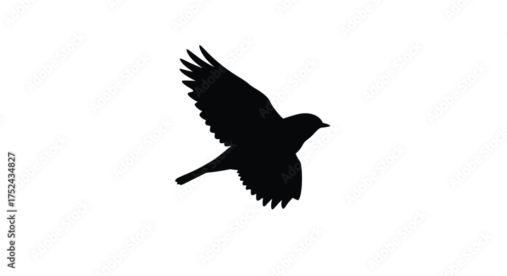 Fototapeta premium A simple black silhouette of a bird in mid flight against white