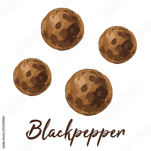 blackpepper in watercolor illustration style, isolated vector on white background