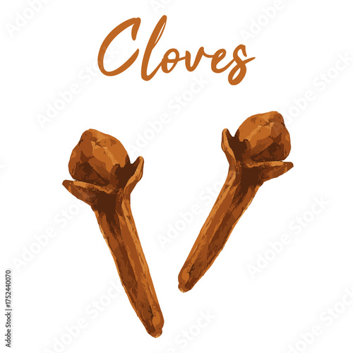 cloves in watercolor illustration style, isolated vector on white background
