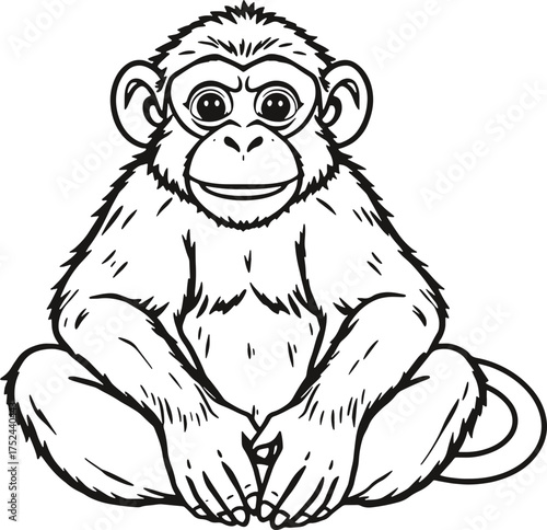 Simple Outline Drawing of a Sitting Monkey