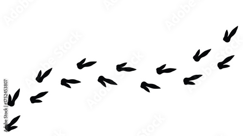 ostrich bird tracks footprints on transparent background, path, isolated simple flat style	
