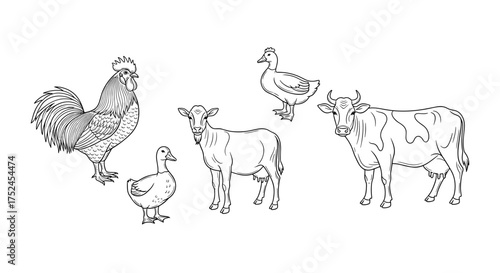 Illustration of a rooster ducks goat and cow in black and white line