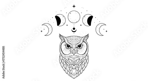 Detailed owl illustration with moon phases and star elements above