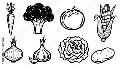 Illustration of various vegetables including carrot and broccoli