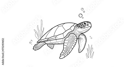 Illustration of a sea turtle swimming with bubbles and seaweeds