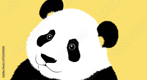 Close up of a Giant Panda face with yellow background.
