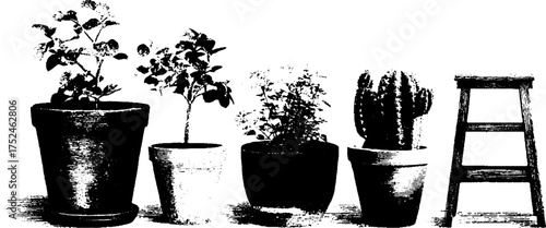 Black and white linocut style potted plants and ladder illustration