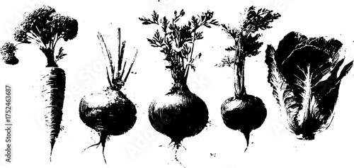 Black and white grunge linocut vegetables set - carrot and broccoli design for print or poster
