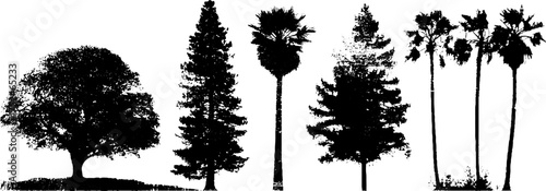 Black and white grunge linocut silhouette set of oak and palm trees for rustic design