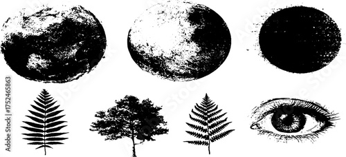 Celestial and woodland elements in black and white linocut style for creative design