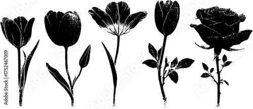 Black and white grunge linocut flower illustrations for vintage design