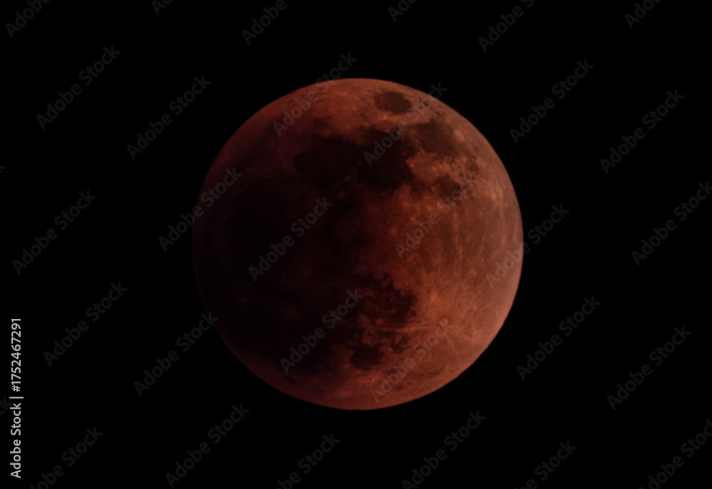 Fototapeta premium the moon in the night sky