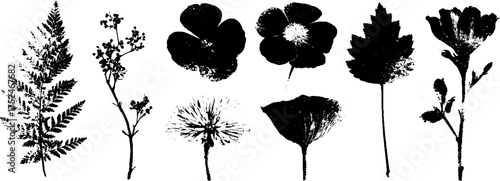Black and white grunge stencil of botanical branches and flowers for nature-themed designs