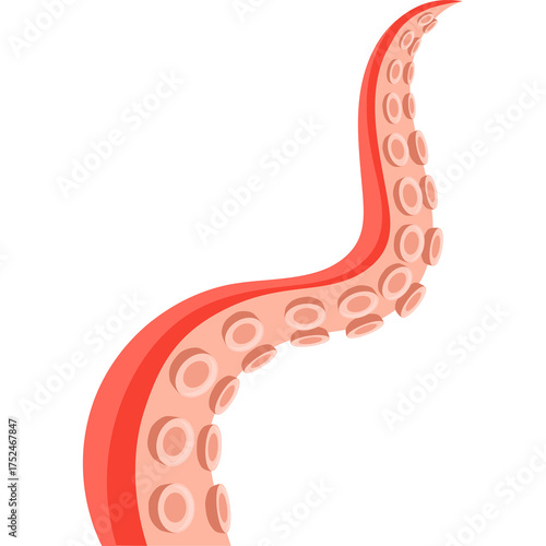 A stylized illustration of a single pink and red octopus tentacle curving upwards against a white background showcasing its suction cups