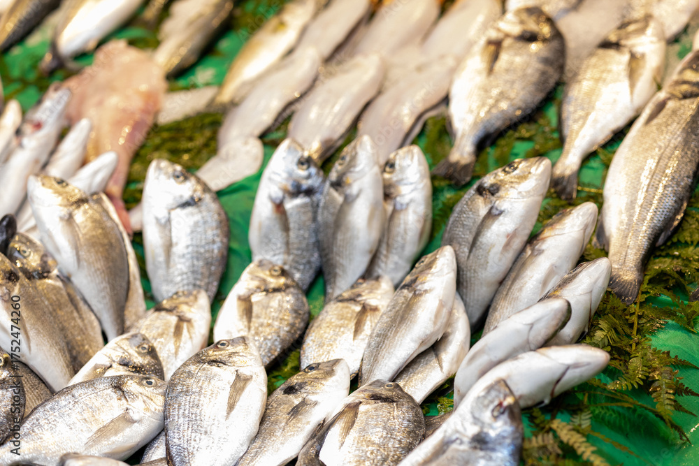 Obraz premium fresh fish on the market turkey