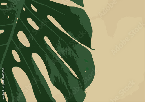 A vibrant close-up of a Monstera leaf's characteristic fenestrations, showcasing its natural beauty against a soft, muted background, evoking a sense of tropical serenity and botanical elegance
