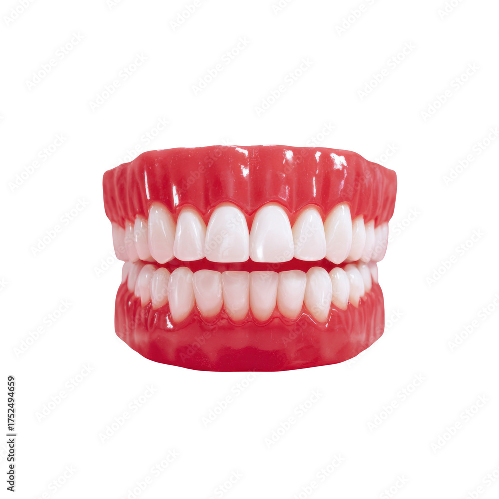 Fototapeta premium Dental Prosthetics: A close-up view of a complete set of dental prosthetics, showcasing the intricate detail and realistic appearance of the teeth.