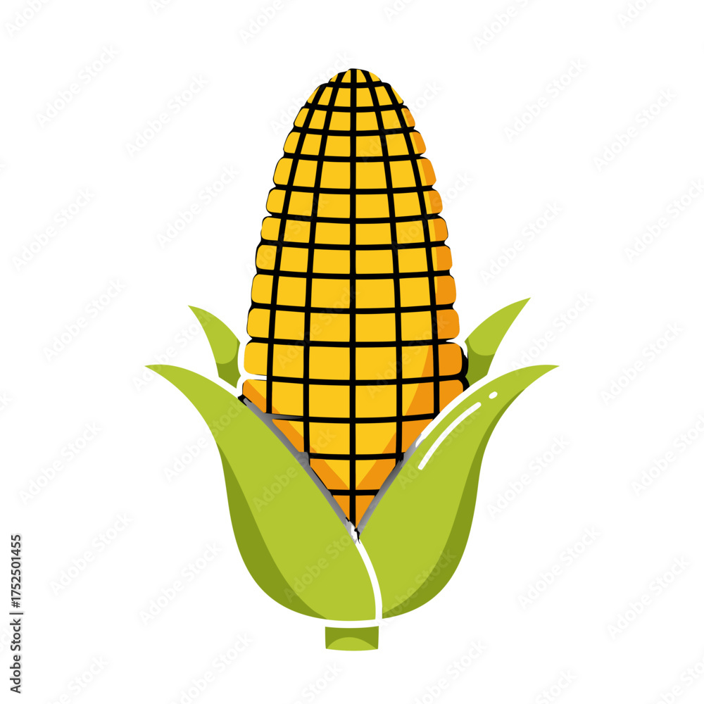 Obraz premium Corn ears displayed with green leaves on white background, concept of Kwanzaa 