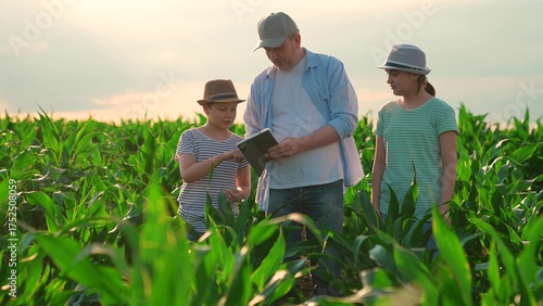Farmer father walks through field with his children girl boy, son daughter. Family dad his children stroll through farm. Farmer dad teaches children about agriculture. Agriculture in green cornfield.