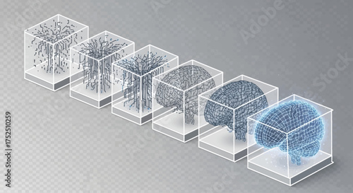 Progression of a brain's development, visualized through stages within transparent cubes, showcasing its evolution.