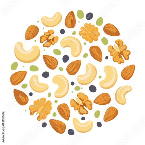 Circular pattern of assorted nuts and seeds, including cashews, walnuts, and almonds, creating an appealing, vibrant, and nutritious shape - Vector Illustration