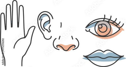 Minimalist Line Art Human Body Parts Icons with Pastel Accents