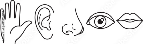 Minimalist Line Art Human Body Parts Icons for Five Senses