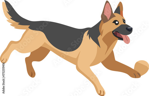 German Shepherd Dog Running with a Ball in its Mouth canine animal