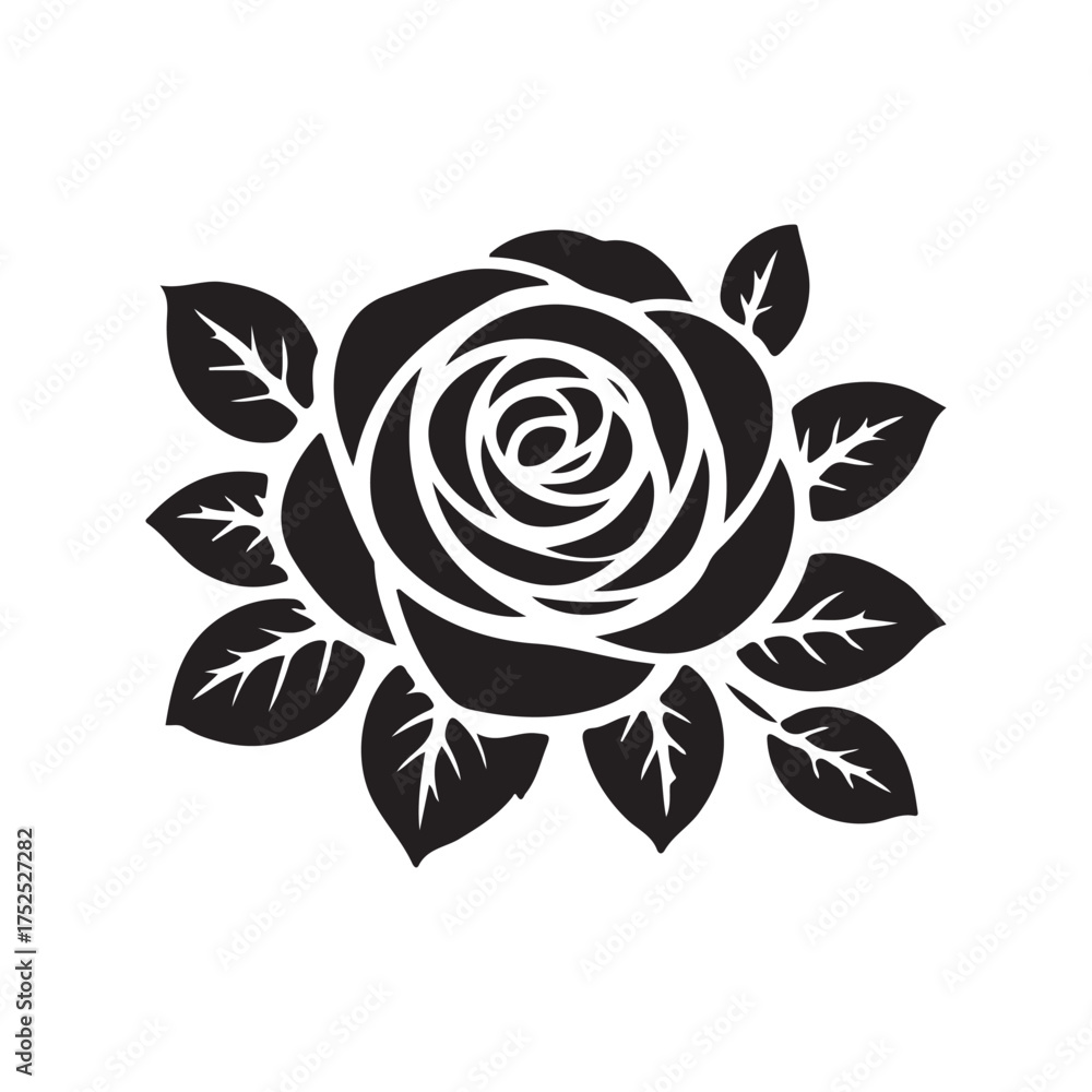 Fototapeta premium Vintage Botanical Rose Drawing