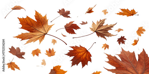Falling Autumn Leaves in Warm Tones on Dark Background Beautiful Fall Season Imagery
