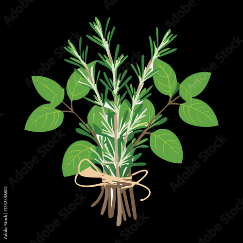 Rustic bunch of fresh green rosemary sprigs, tied with natural twine, an intensely fragrant herb used for roasting and adding robust flavor to meats - Vector Illustration