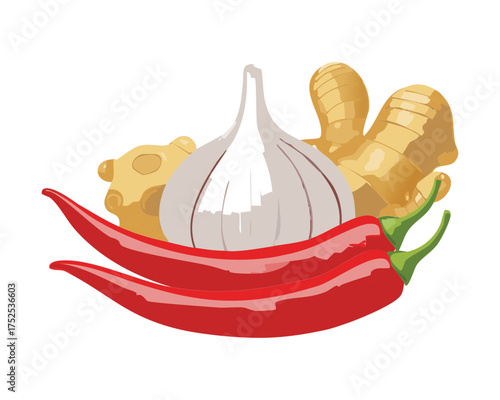 Hot red chili peppers and white garlic bulb, with a piece of ginger, a flavorful and aromatic combination of pungent spices and vegetables - Vector Illustration