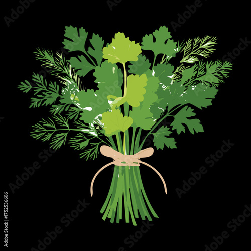 Small, neat bunch of fresh green parsley, tied with a simple knot, a delightful and vibrant herb for everyday cooking and kitchen use - Vector Illustration