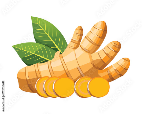 Sliced and whole ginger root, a popular aromatic rhizome used for traditional medicine, warm beverages, and savory Asian cooking recipes - Vector Illustration