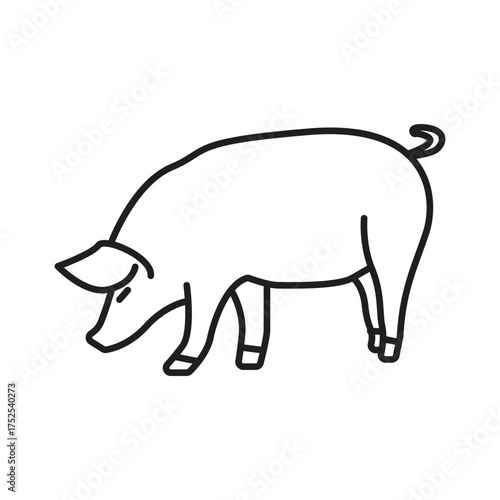 A line drawing of a pig shown in profile with its snout towards the ground. editable line icon