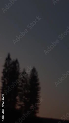 blurry evening sky sunset with trees