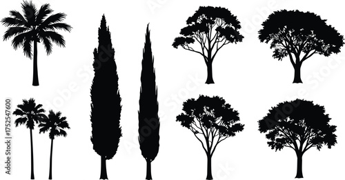 Tree silhouette collection, palm trees, cypress, deciduous trees, nature vector illustration, forest elements, black tree icons, natural landscape design art